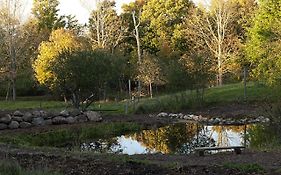 Green Dragon Organic Farm And B&B